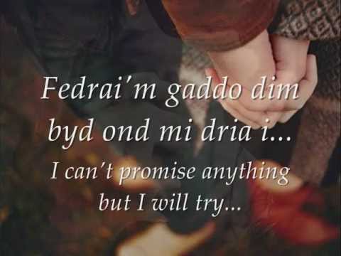 Dy Gynnal Di - Lleuwen Steffan (geiriau / lyrics)