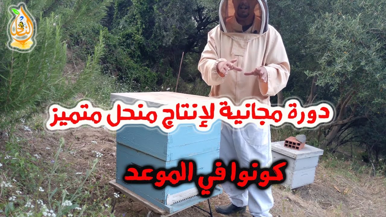 الدرس 1   دورة مجانية لإنتاج منحل متميز