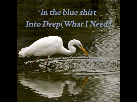 in the blue shirt - Into Deep (What I Need)