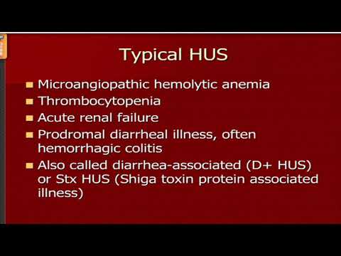Ped Lec 21 Hemolytic Uremic Syndrome in Children by Prof  Nariman Fahmi