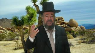 הרב דוד הכהן – פרשת ויצא – אהבת דוד ויהונתן