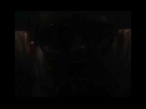 Thumbnail for Turunlinna & valokuvia