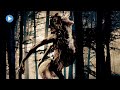 THE SHAPE OF THE WOODS 🎬 Exclusive Full Fantasy Horror Movie Premiere 🎬 English HD 2023