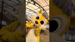 ファンサが熱い！ドングリスくん！#メルヘン村 #ドングリス