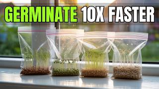 🌱 GERMINATE SEEDS 10X FASTER (No Soil Needed)