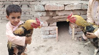 How To Make Chicken Coop with Mud and Bricks | Chicken Coop Design | Village Life Hacks | Khaby