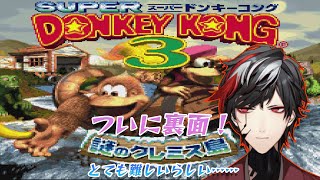 【スーパードンキーコング3】お手柔らかにねクレミス島【Donkey Kong Country 3】【VTuber】【No.9 Yata】