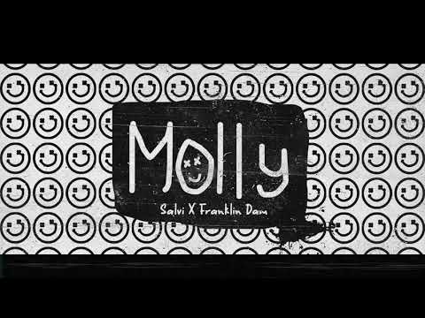 Salvi & Franklin Dam - Molly (Official Audio)