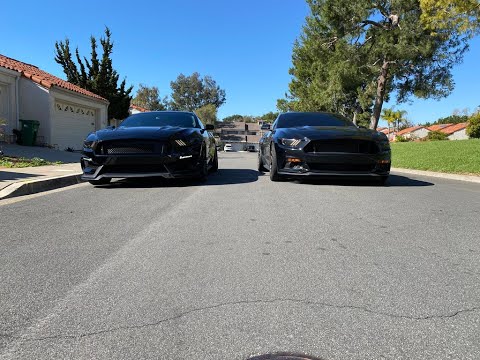 Mustang GT and Premium Differences