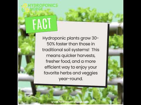 hydroponic plants grow 30-50% faster than traditional soil-grown ones