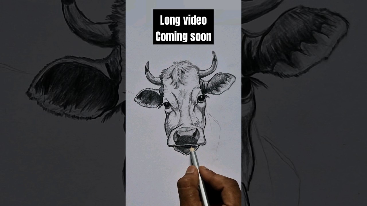 Cow Scale Stock Illustrations #trending #shorts #drawing #art #cow @mrbbarat99 @MrBeast
