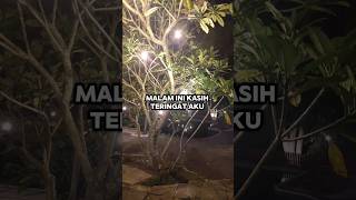 Download lagu Malam ini Kasih Teringat Aku Pada Mu : ERMY KULIT Penyanyi Jazz Lawas mp3 Download lagu Malam ini Kasih Teringat Aku Pada Mu : ERMY KULIT Penyanyi Jazz Lawas mp3