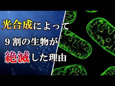 完全な酸化物について詳しく解説