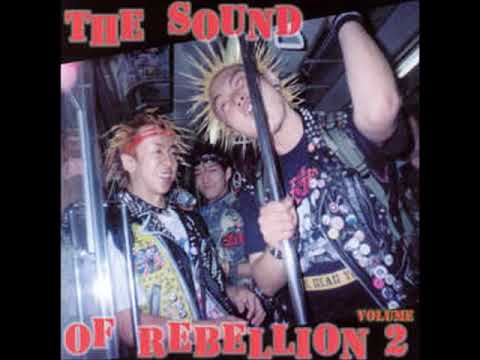 Vîrus - I Believe In Anarchy