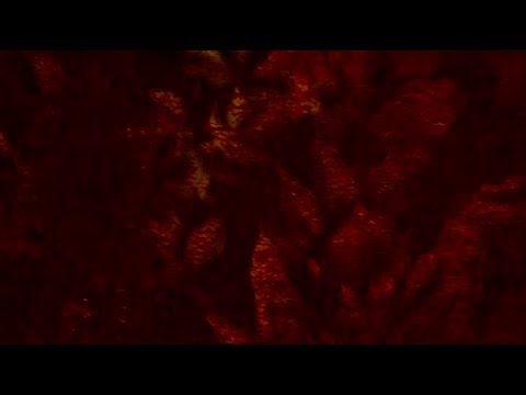 me va a encantar el siglo 21 (english subs)