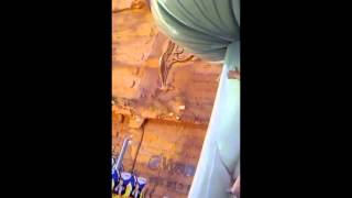 True love will find you in the end - Anthony & Rita