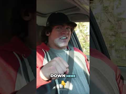 Sam explains why dumbbells are superior | Winter Bulk Day 116 - Chest