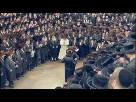 Wedding Of Satmar Rebbe R' Zalman Leib's Einikel -  Kislev 5782