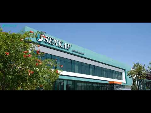 Dijital Pazarlama Video