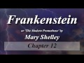 12 Frankenstein by Mary Shelley — Audiobook — Chapter 12   read by Rob Goll