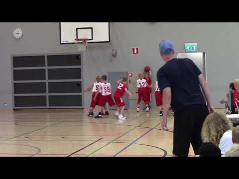 Delfin 2018 Pyrintö Elisa   Pyrintö Red