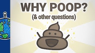 Why Do You Make So Many Poop Videos? (& Other Questions)