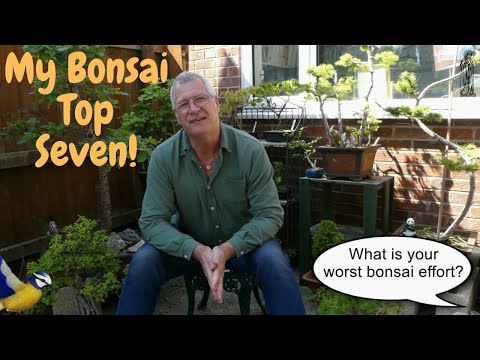 Bonsai - The Top 7 Questions & Answers