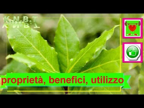 Gli esercizi più efficaci per la colonna vertebrale cervicale Lussazione della spalla benda articolazione