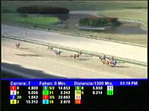 Resumen Sabado, 19 de Enero de 2013 - La Rinconada