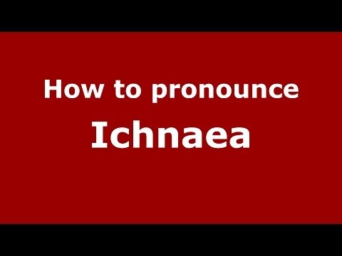 How to pronounce Ichnaea (Greek/Greece) - PronounceNames.com