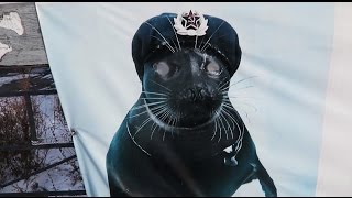ВЛОГ ИЛЬИЧА / МОЯ НОВАЯ ДЕВУШКА АНЖЕЛИКА / LITTLE BIG В ИРКУТСКЕ