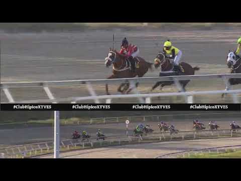 11ma. carrera | Arrow | Hipódromo La Rinconada | Reunión 03 | 2022