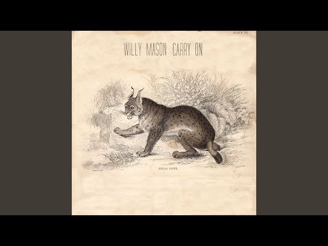 What Is This - Willy Mason