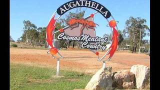 The Screaming Jets - Cunnamulla Feller