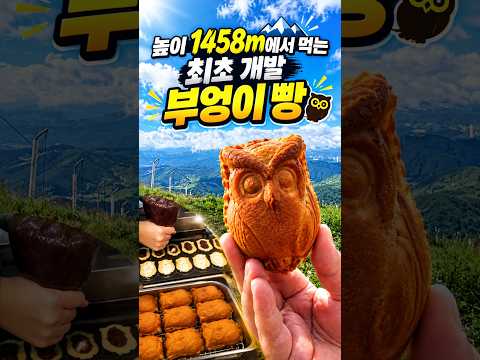 평창 발왕산 정상 부엉이빵 325 위치공유