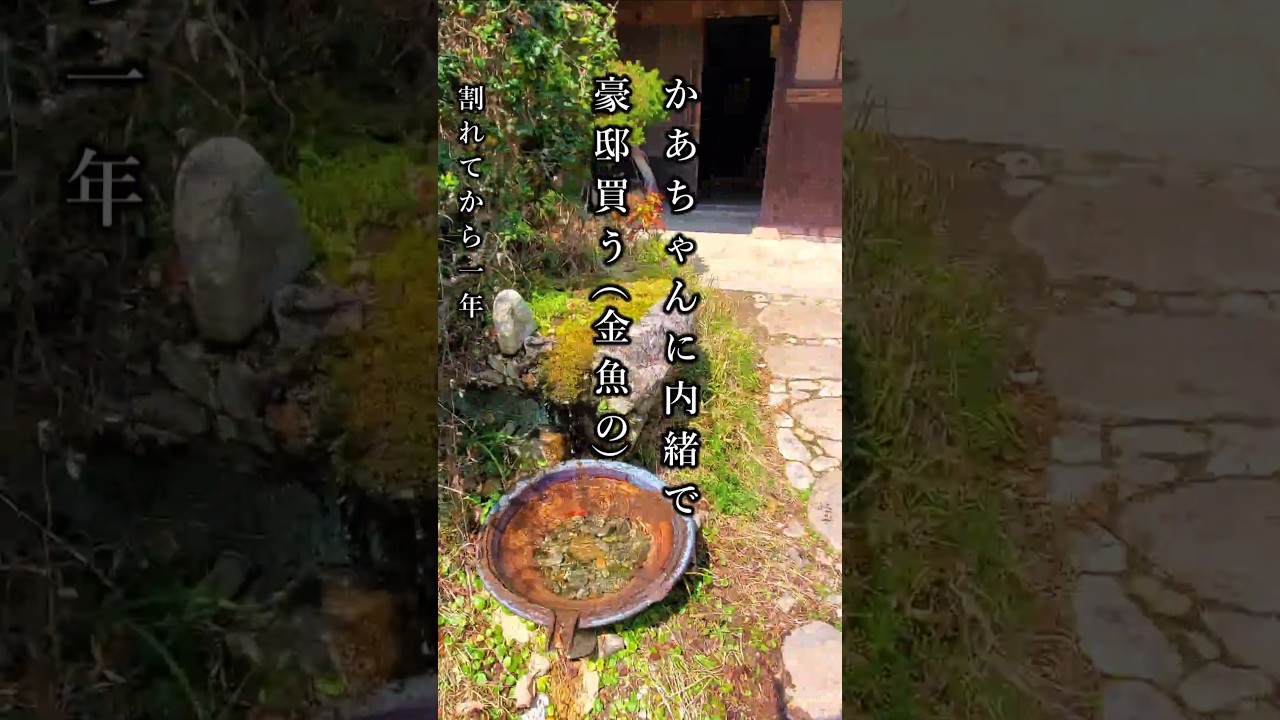 かぁちゃんに内緒で豪邸買う（金魚）