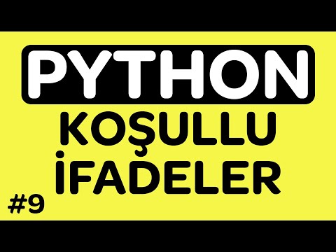 Python Conditional Expressions - If Elif Else Cases - Python Lessons #9