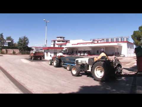 Touring Puglia thumbnail