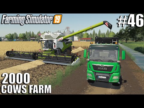 Buying a NEW Harvester & HUGE Upgrade  | 2000 Cows Farm | Timelapse #46 | Farming Simulator 19