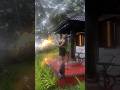Staycation Video Kando Staycation Fypviral Trend Fypviral Shoot Shorts