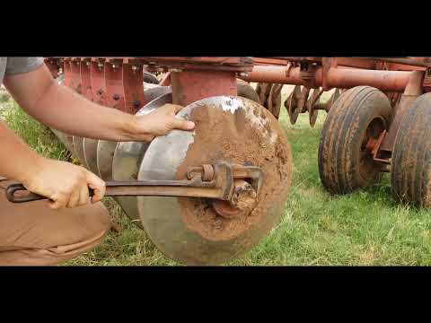 Replacing Bearings in a Sunflower Disc