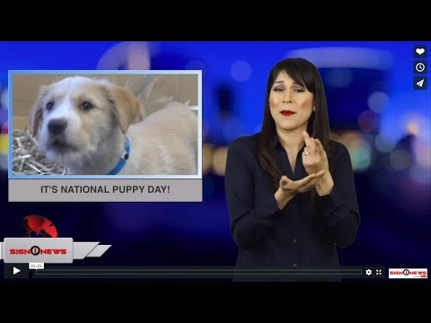 It’s National Puppy Day! (ASL - 3.23.19)