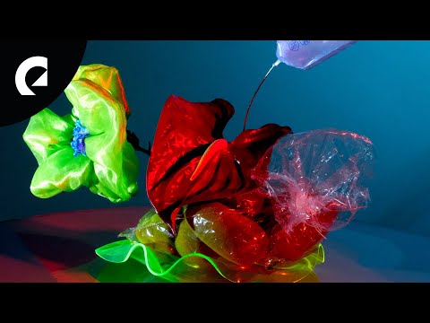 Giants' Nest - Sunflower (Royalty Free Music)