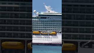 The beauty of mariner of the seas!.. #cruiseship #travel #vacation #shorts #yt #ytshorts