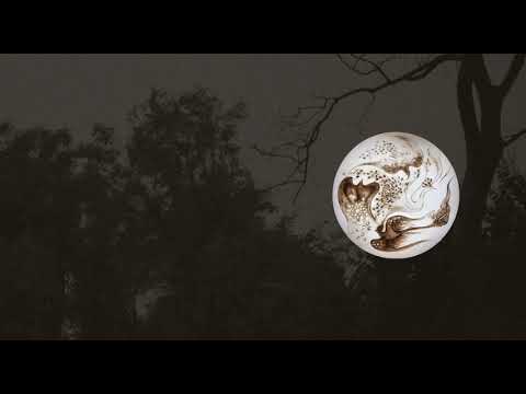 Zhaoze - Birds Contending / 沼澤樂隊 - 《爭鳴》