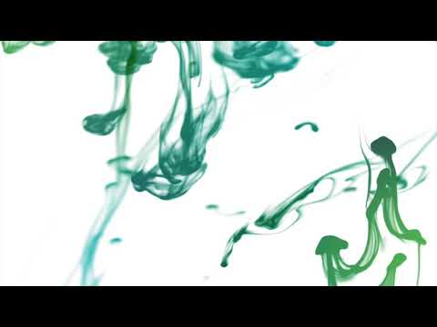 Elevator Suite - Carter