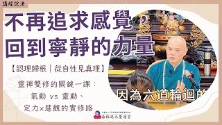 【繁中】不再追求感覺，回到寧靜的力量｜『認理歸根｜從自性見真理』靈禪雙修的關鍵一課：氣動 vs 靈動、定力×慧觀的實修路｜無上總執法 玄聖上人師尊｜台南道場｜113.08.25周日