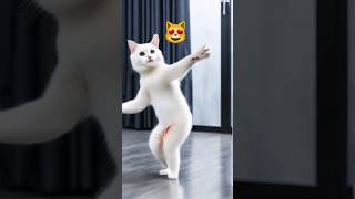 Download lagu 😻Kaathu Mela Super  Viral cat dance 🙀😻#dancingcat #shortsfeed #kaathumelasong #viralvideo mp3
