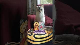 💖✨ Oi, gente bonita! Previsão do Tarô para os próximos 7 dias!