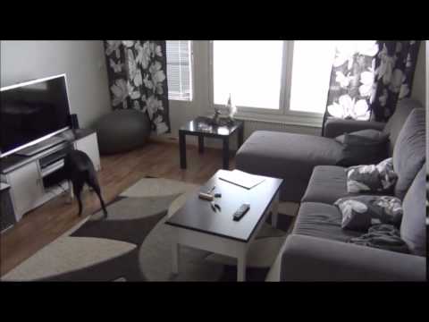 Tea Bag search 2 (23.4.2015)